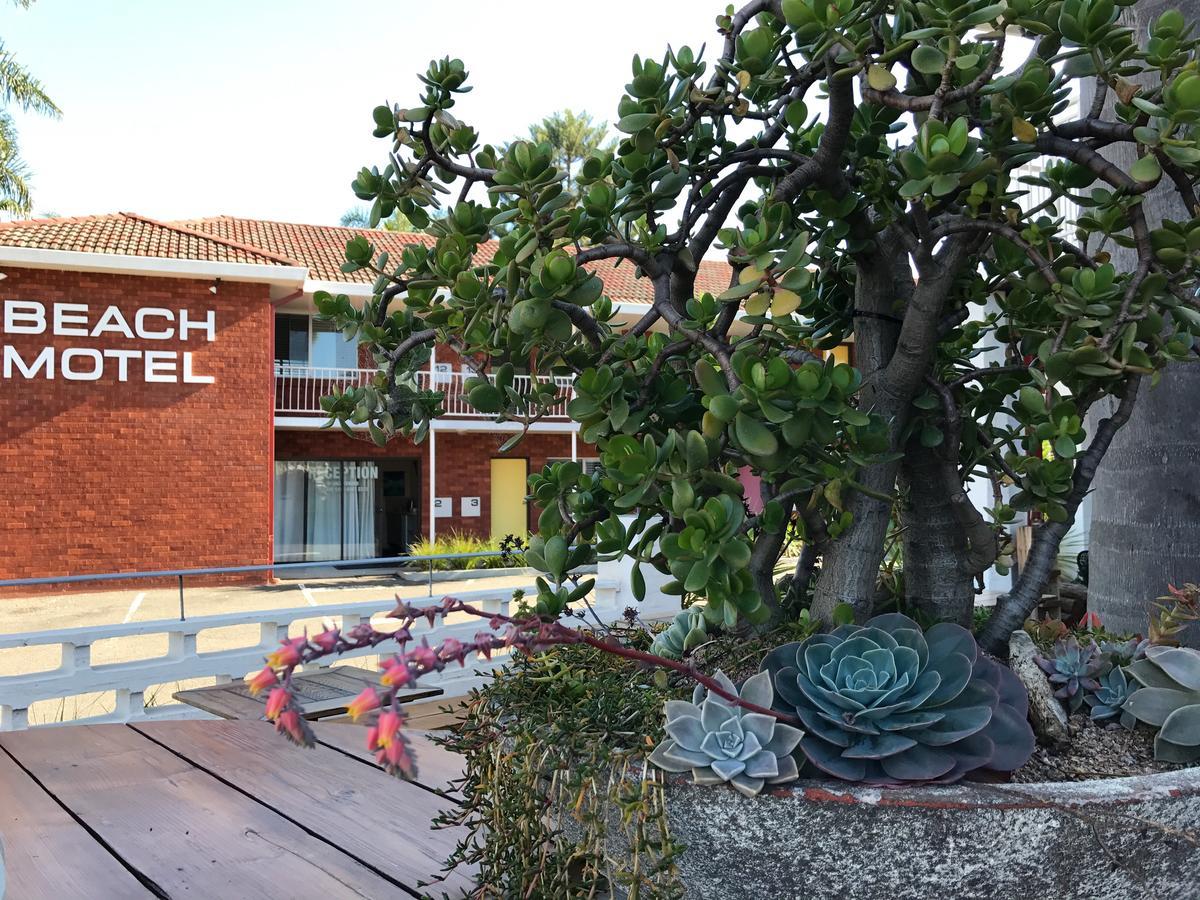Thirroul Beach Motel Eksteriør billede